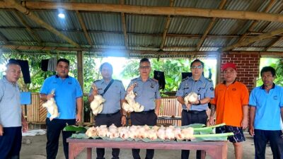 Lapas Tondano Panen Perdana Ayam Daging, Dukung Ketahanan Pangan dan Keterampilan Warga Binaan