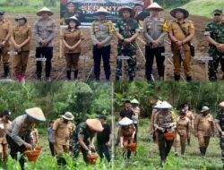 Polres Minahasa Bersama TNI dan Pemerintah Daerah Sukseskan Program Penanaman Jagung 1 Juta Hektar